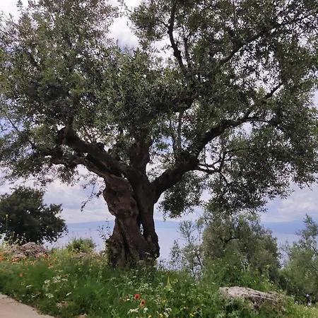 Pilias Methoni (Messenia)