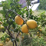 Pilias Methoni (Messenia)