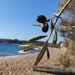 Pilias