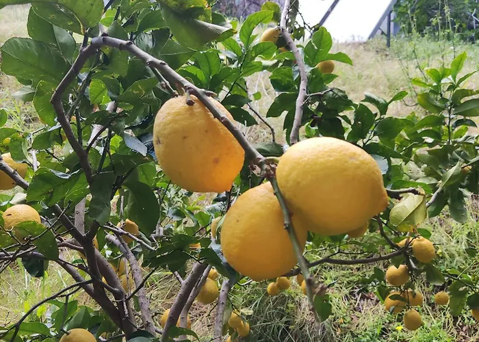 Pilias Methoni (Messenia)