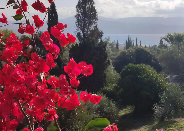 Pilias * Methoni (Messenia)