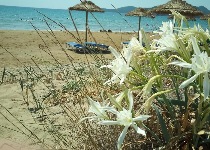 Pilias Villa