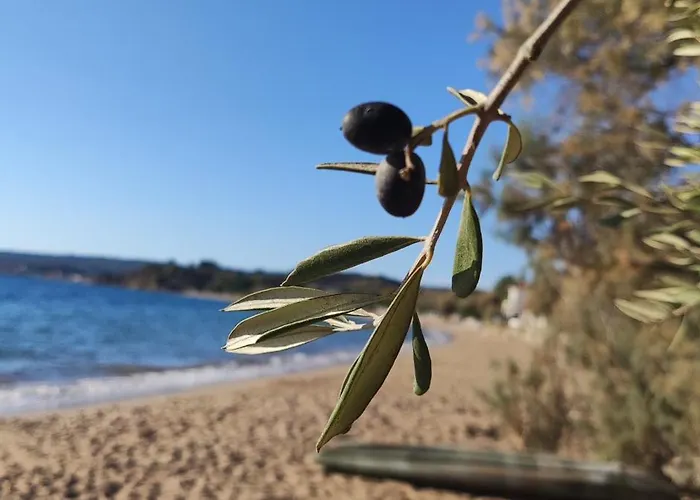 Pilias