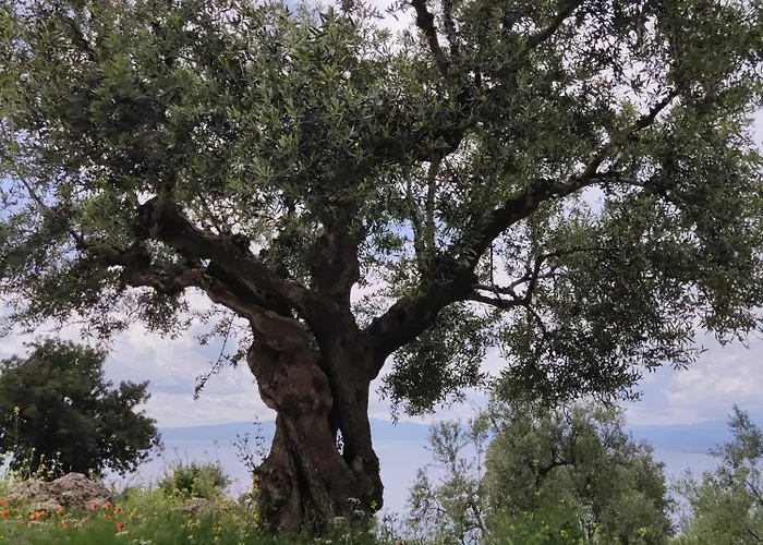 Pilias Methoni (Messenia)